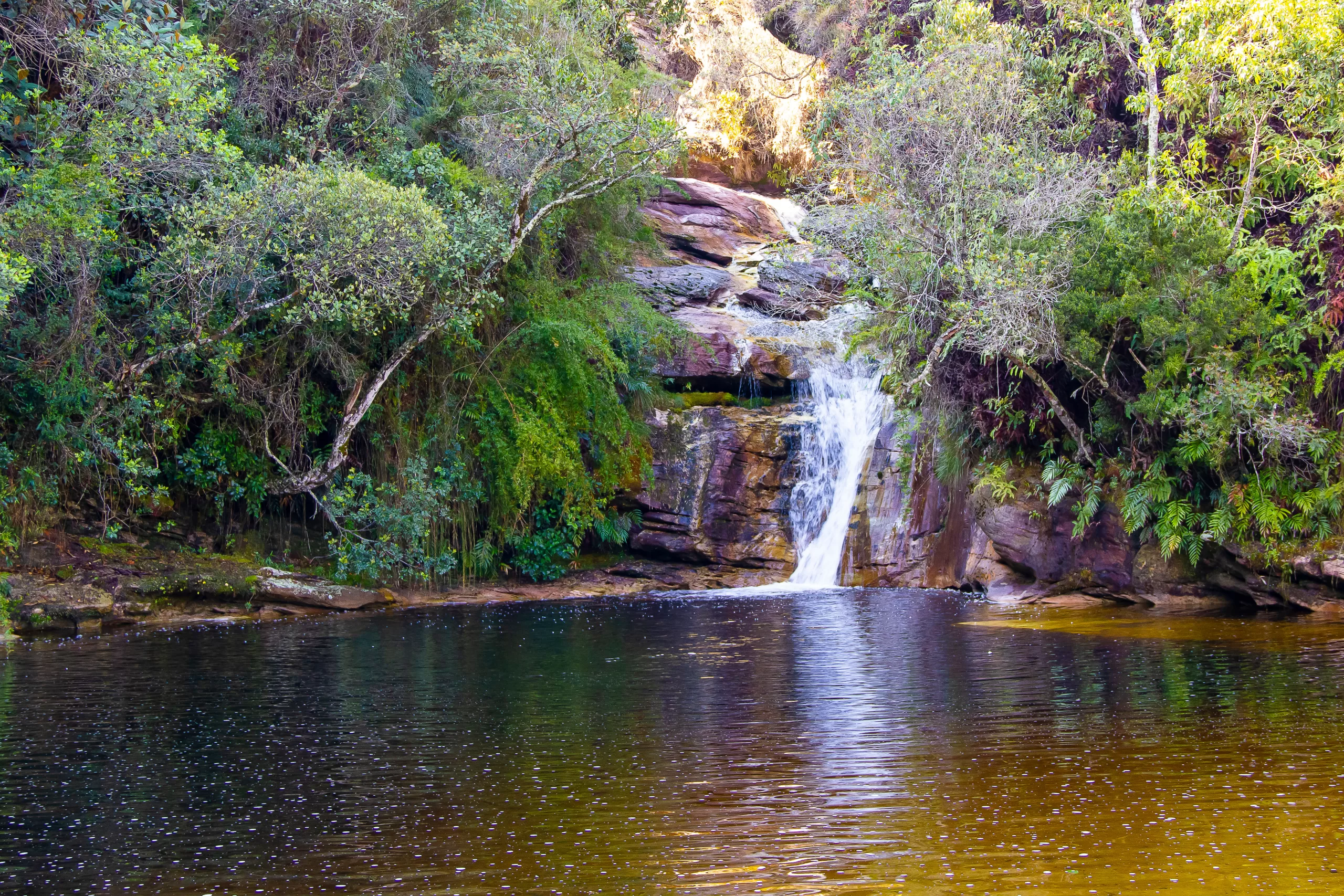 Ibitipoca Park Minas Gerais Brazil - Wild Tropical Nature